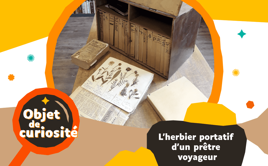 Objet de curiosité - Herbier