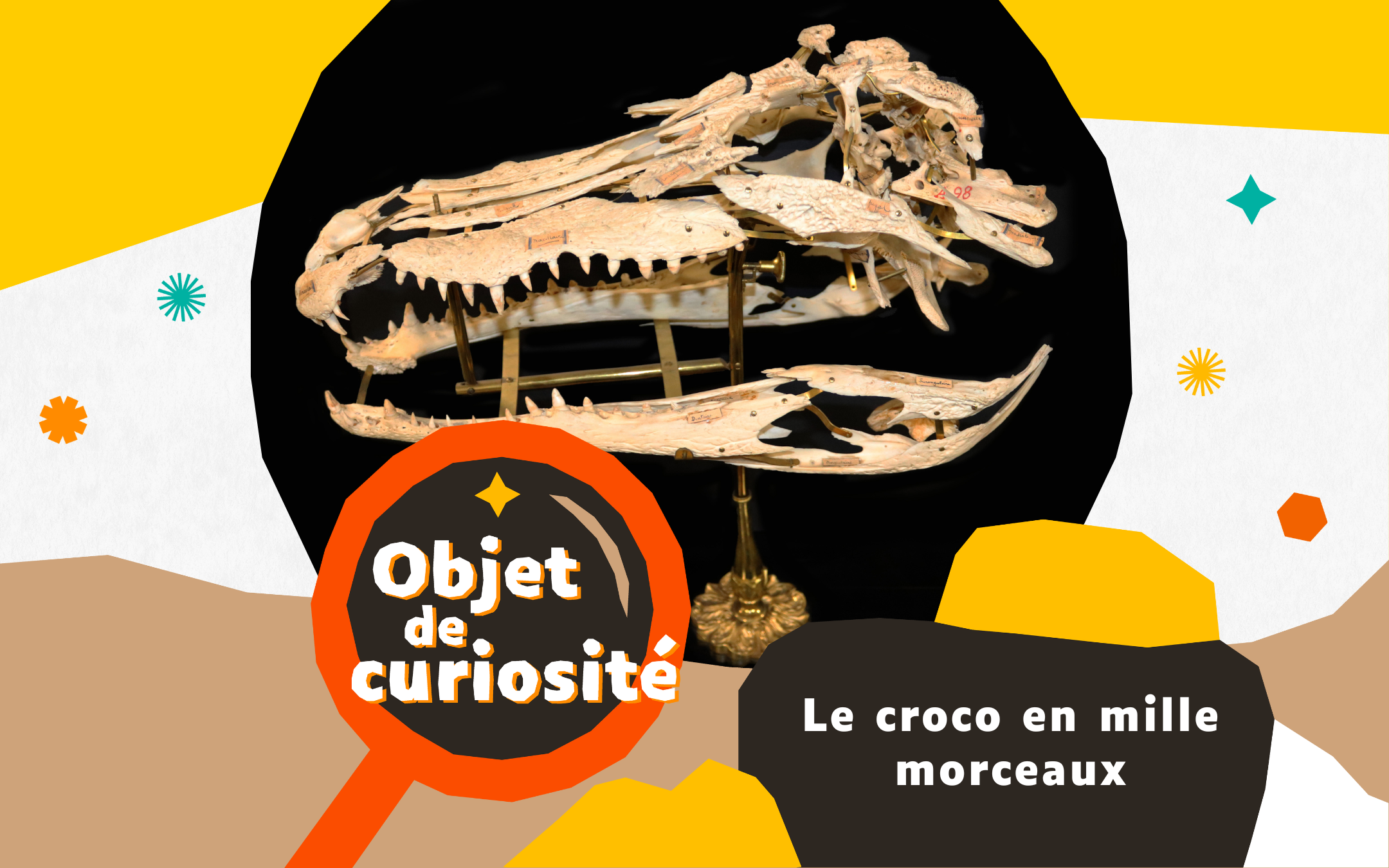 CESPAU UCA